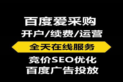 SEM搜索引擎优化案例：如何提升网站流量和转化率